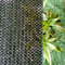 バルコニーの家の園芸植物のための緑の反紫外線HDPEの日曜日の陰の網